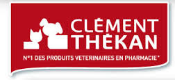 Clement Thekan